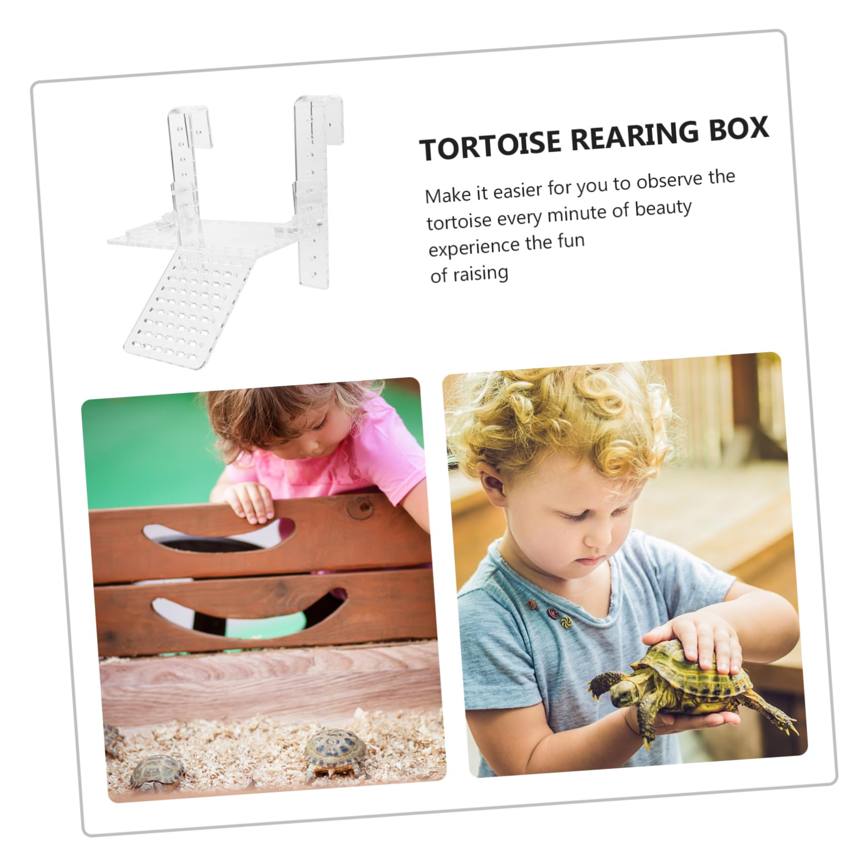 GALPADA 1 Piattaforma per Tartarughe Acrilico Design Antiscivolo Accessorio per Rettili Adatta per Piccole Tartarughe e Compatibile con Acquari e Acrilico