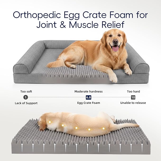 Cama Ortopédica para Perros Grandes con Funda Lavable y Base Antideslizante miniatura 2