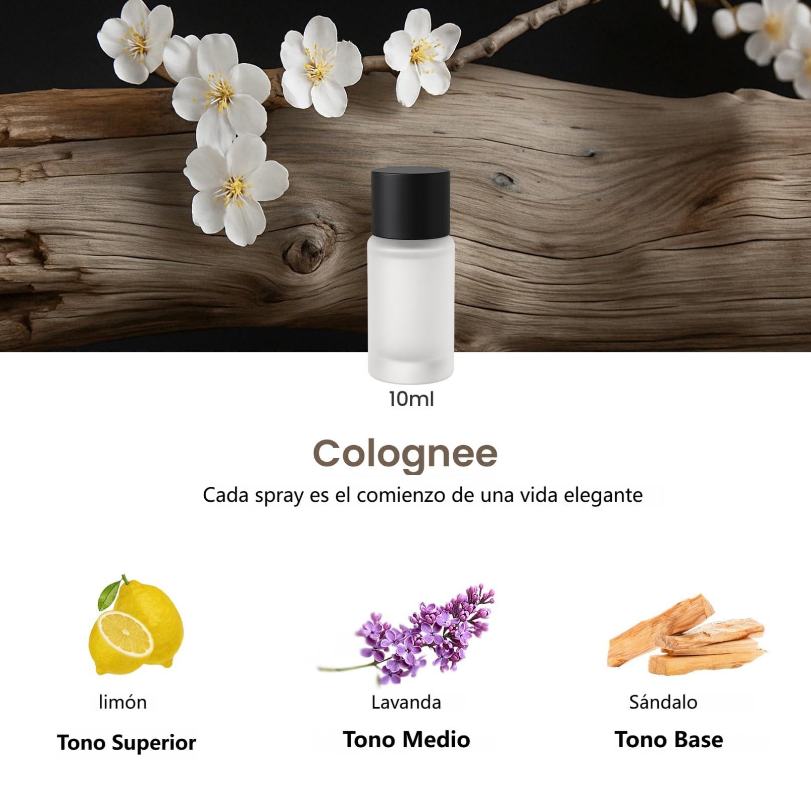 Set Profumatore Auto – Diffusore Elettrico + Profumi 30 ml