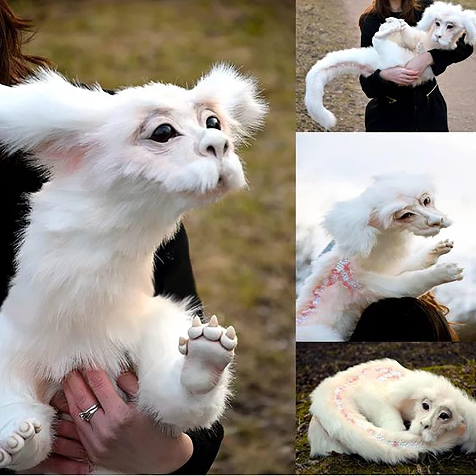 HEYWR Falkor From The Neverending Story Plush Doll Toys Gift For Kids And Adluts (White)
