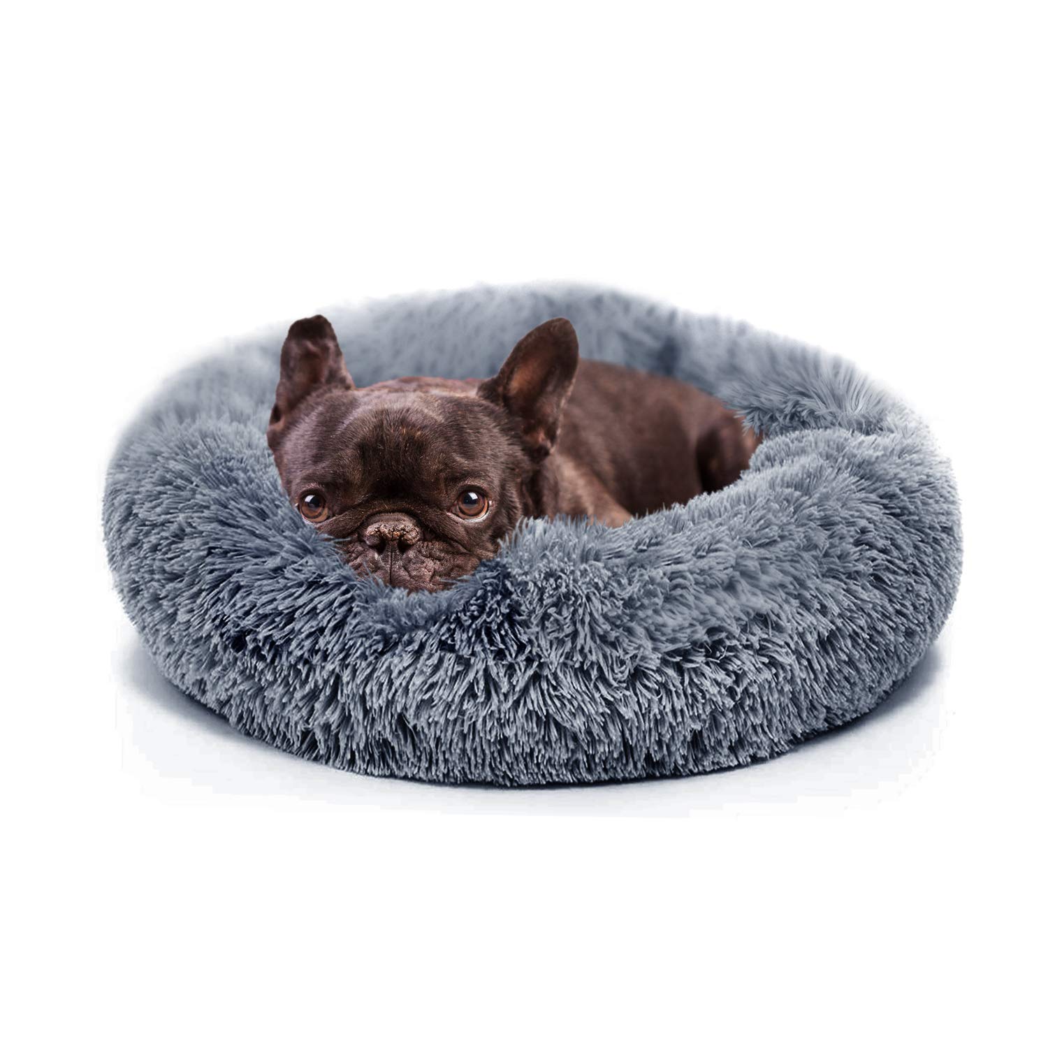 What Kind Of Dog Bed Should I Get