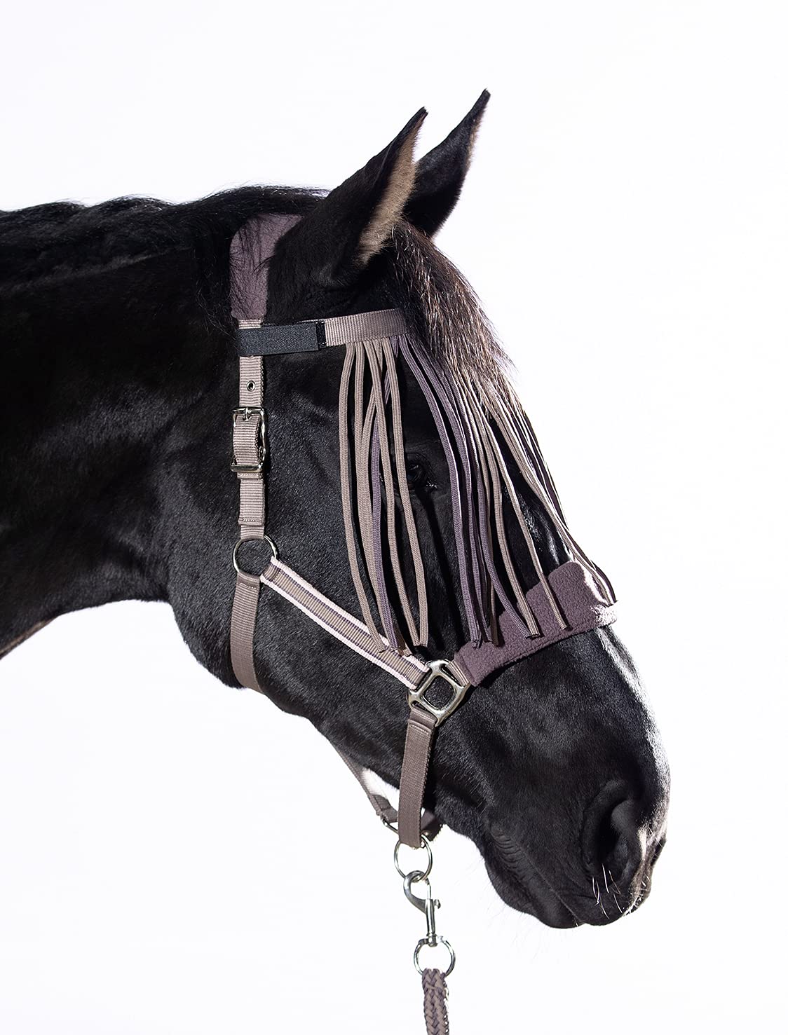Licol à franges Cavalli Puri Melody marron taille Vollblut - 2