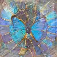 【レア】　モルフォ蝶　アート　標本　芸術　コレクション　海外　美術　絵　昆虫　③ Amazon.co.jp: レア モルフォ蝶 アート 標本 芸術 コレクション