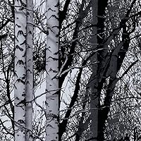 Vista 10 de Película de papel autoadhesivo decorativo DC Fix (303-0201), 346-8052