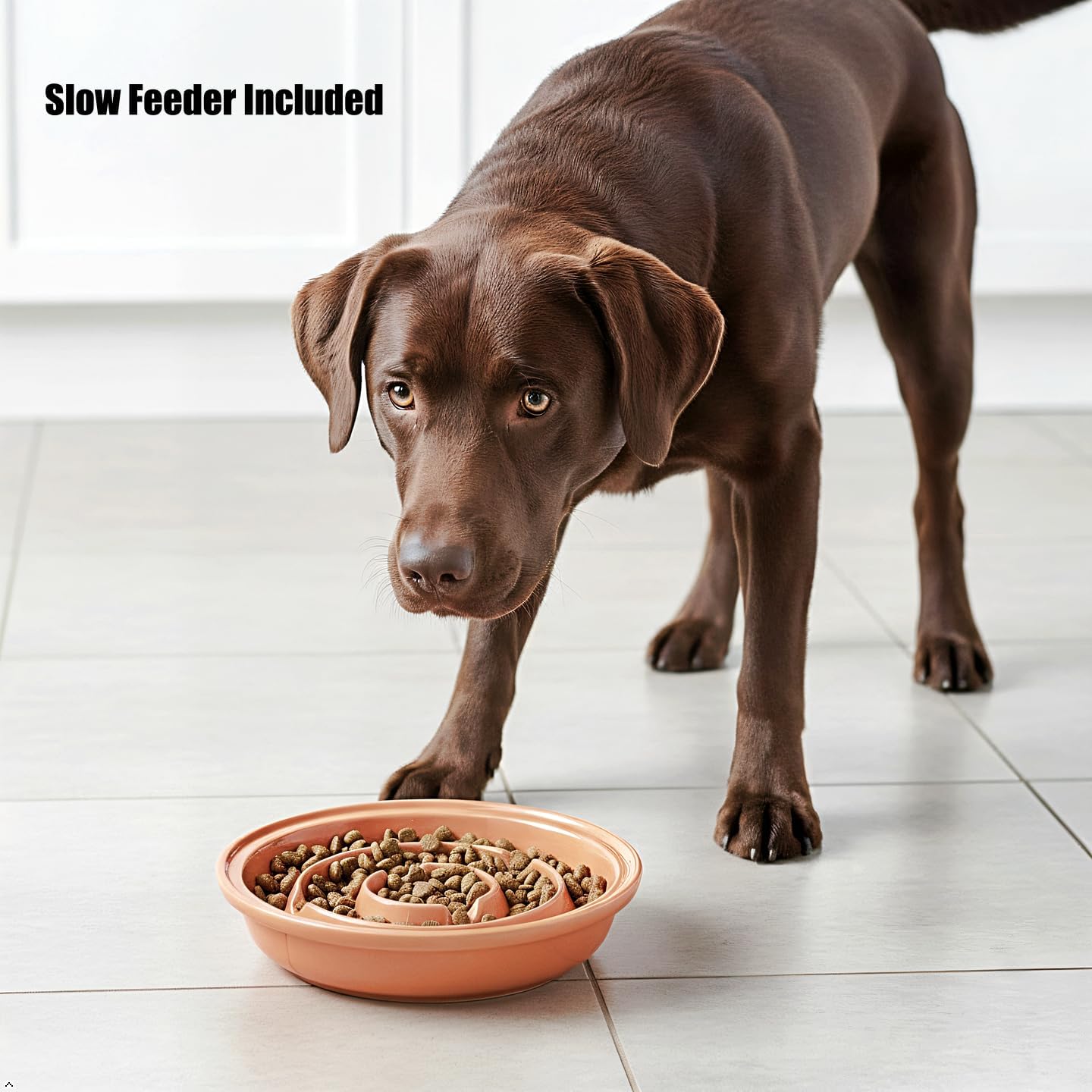 Elevated Dog Bowl Stand with 3 Large Ceramic Bowls – Raised Feeding Station for Medium & Large Dogs, Includes 2 Standard Bowls + 1 Slow Feeder, Durable Iron Frame, Non-Slip (Almond)