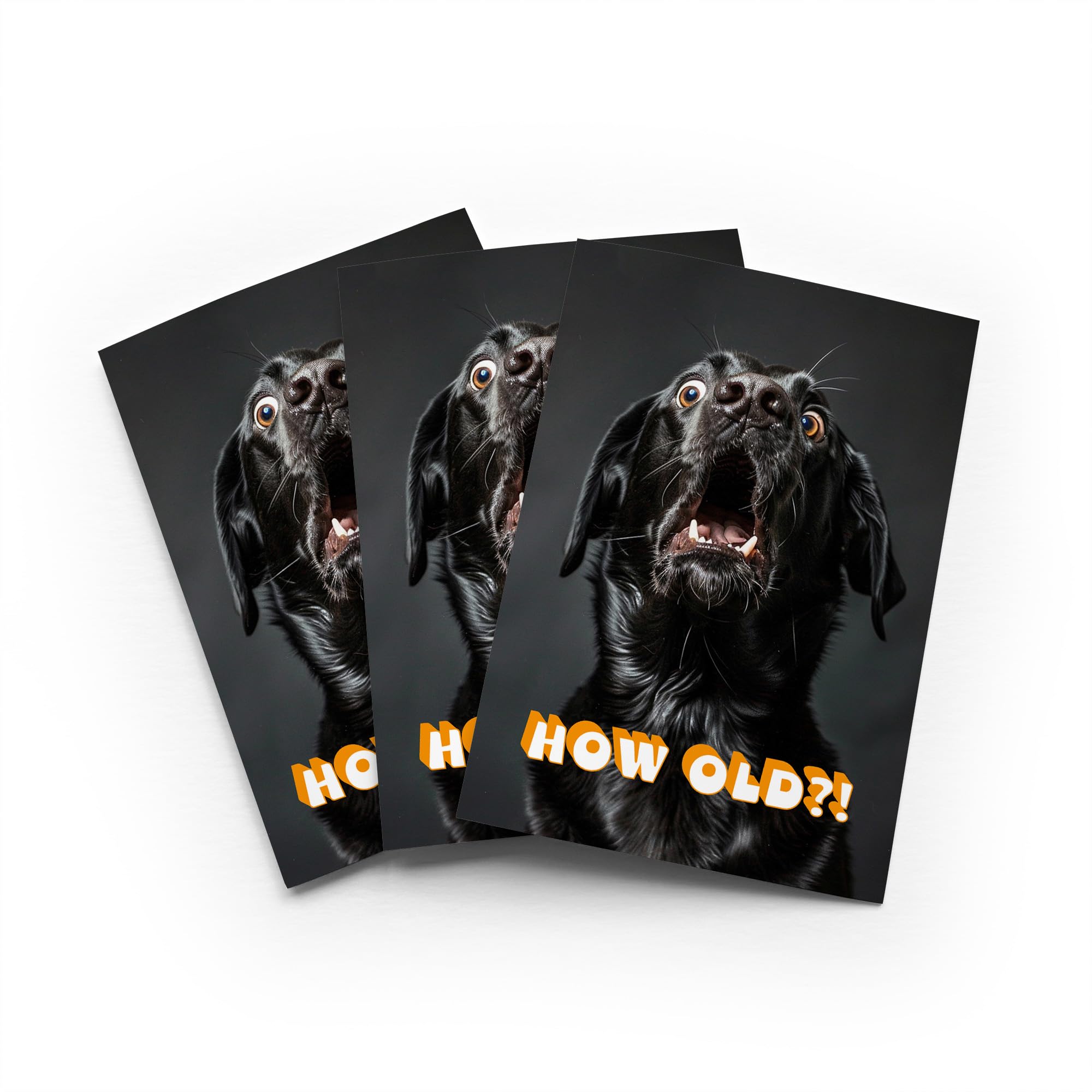 Funny Labrador Birthday Card How Old Joke Set of 3 Greeting Cards Blank Inside 5x7 Inch 13x18 cm