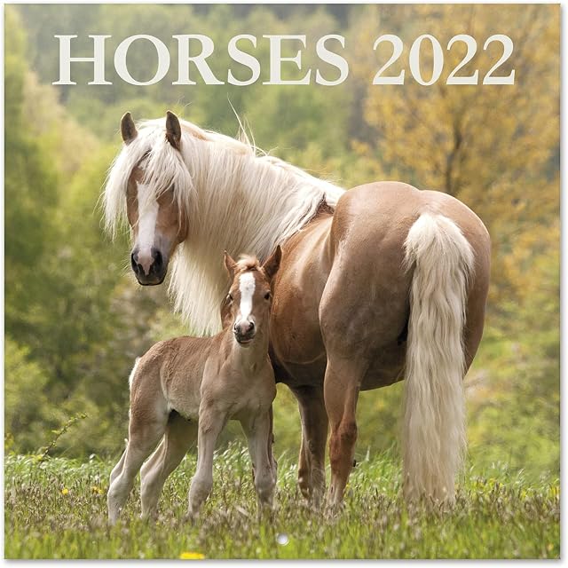Official Horses 2022 Wall Calendar, 2022 Calendar, 12" x 12" Square Wall Calendar 2022, Family Calendar 2022, Horses Calendar 2022 - Animals Calendar 2022
