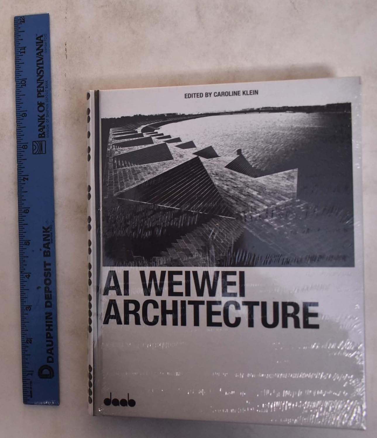 Ai Weiwei Architecture Klein, Caroline 9783942597012 Books