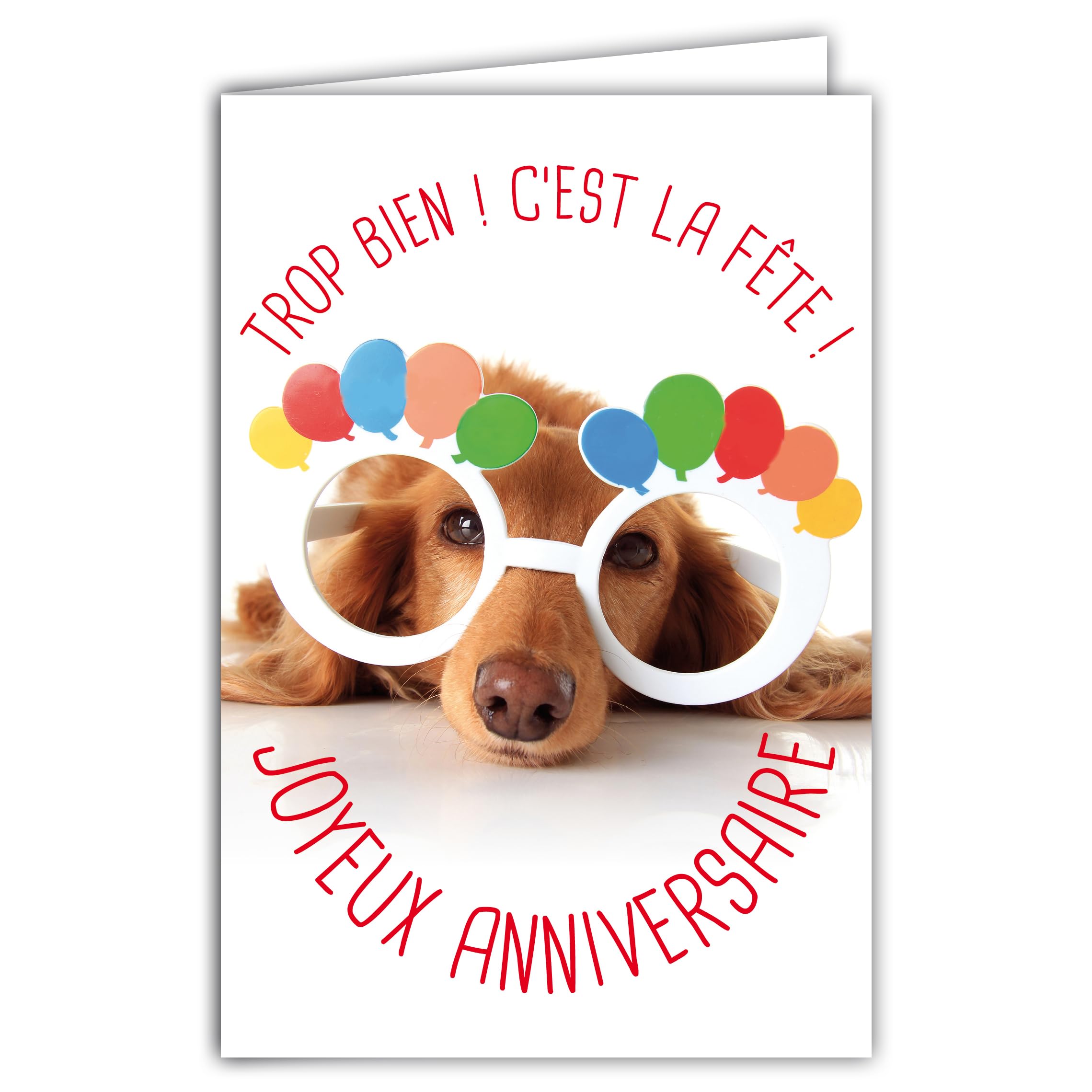 AFIE Humorous Happy Birthday Card with Illustrated Envelope, 17.5 x 12 cm, Funny Funny Funny Dog Disguised with Glasses for Party – Creation Made in France 69-6201