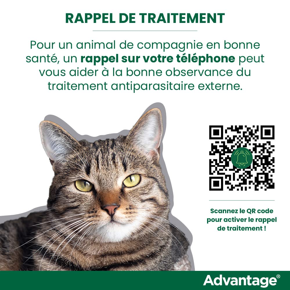 Advantage Chat & Lapin de Moins de 4 kg – Pipettes Anti puces Chat pour prévention des infestations – Traitement Anti puces Lapin pour Une Protection en continu Pendant 3 à 4 semaines – 6 x 0,4 ML