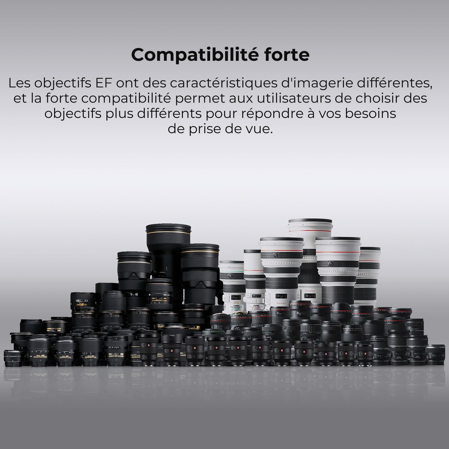 K&F CONCEPT compatibile Con Canon Auto EF/EF-S vers EOS R Adaptateur Métal avec Autofocus avec étui de Protection