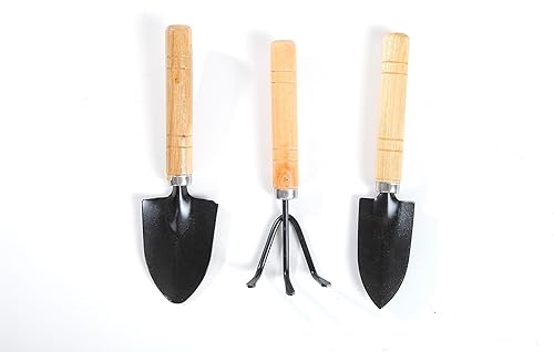 Miniatura 4 de SERCTUCR Ladrillo de fibra de coco comprimido 100% orgánico premium con bajo equilibrio de EC y pH adecuado para plantas y hierbas hortícolas (5)