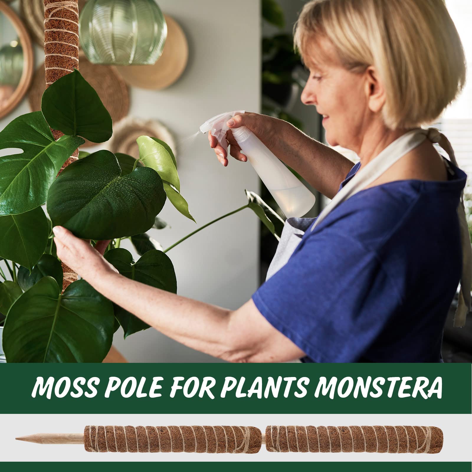 30 Stück Moosstangen für Pflanzen, Monstera, 41.5 cm, Monstera-Pflanzenunterstützung mit 10 Stück 16.5 m Juteseil und 18 m grünes Pflanzenband für Innen- und Außenbereich, Kletterpflanzen th