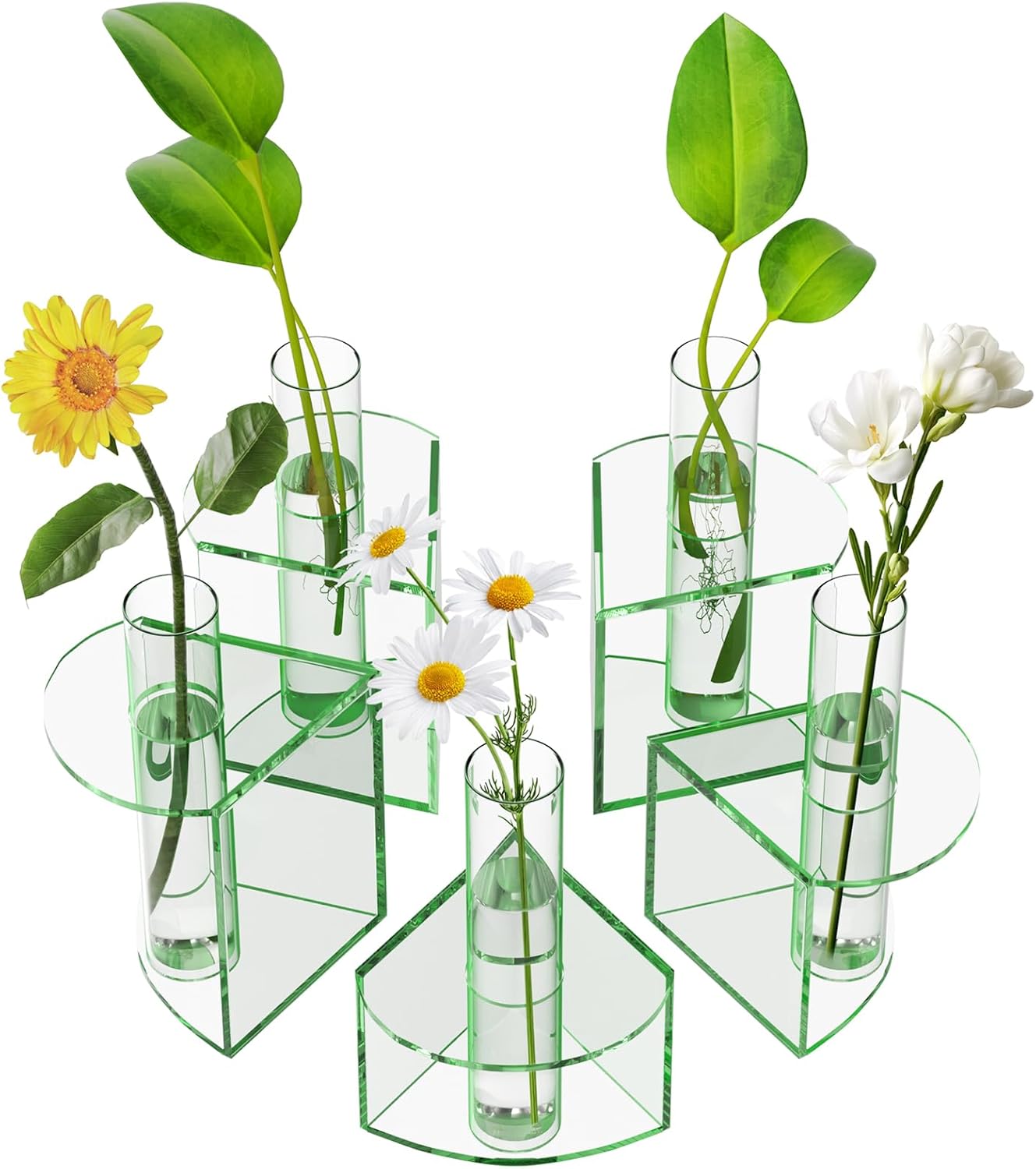 NIUBEE Plant Propagation Station Indoor: Petals Shaped Plant Terrarium with 5 Glass Test Tubes, Acrylic Tabletop Propagation Vases for Hydroponic Plants, Office Kitchen Decor for Plant Lovers (Green)