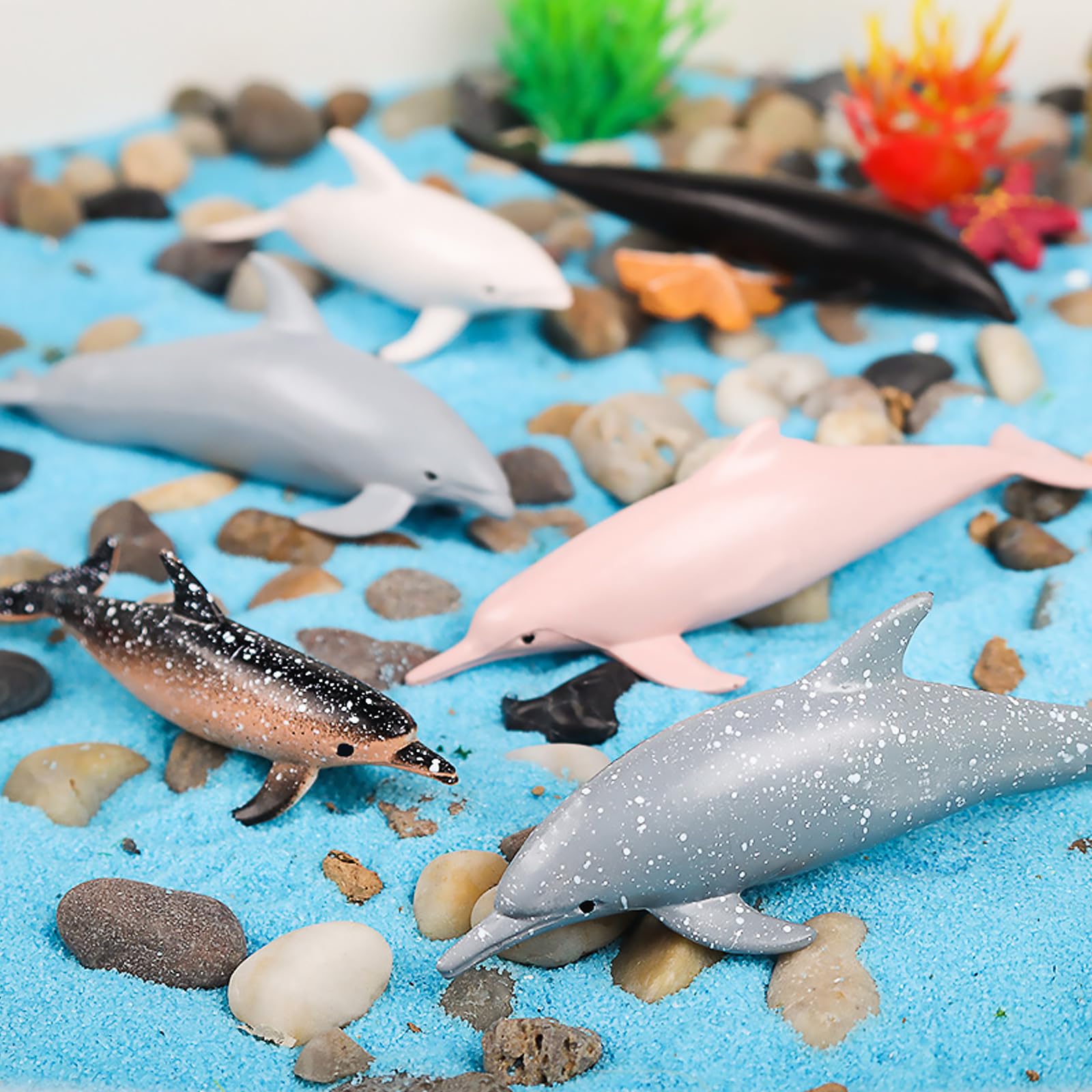 Amazon.co.jp: Bbiamsleep リアルミニイルカフィギュア 12個