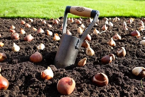 DeWit British Bulb Planter – Heavy-Duty Garden Bulb Planting Tool with Boron Steel Head & Ash Hardwood Handle - Thumbnail 4