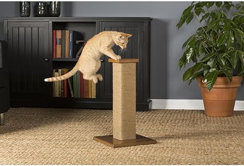 Vista 5 de Productos prevue Pet Kitty Power Paws Post, natural, alto, Natural