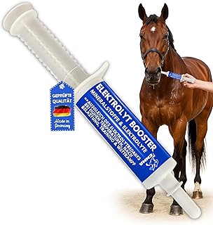 Electrolytes Cheval Pâte vitaminée pour Chevaux I Vitamine b Complexe Cheval I Electrolytes pour Chevaux Sodium Potassium Magnésium Cheval Nourriture minérale Chevaux après diarrhée Sels minéraux 1pc