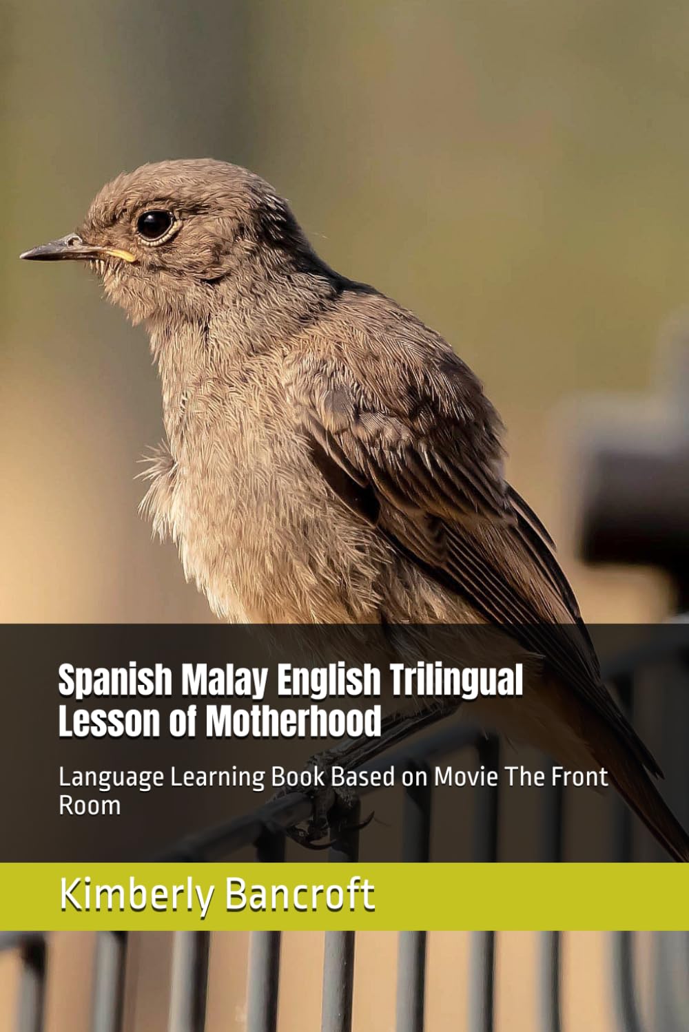 Spanish Malay English Trilingual Lesson of Motherhood: Language Learning Book Based on Movie The Front Room