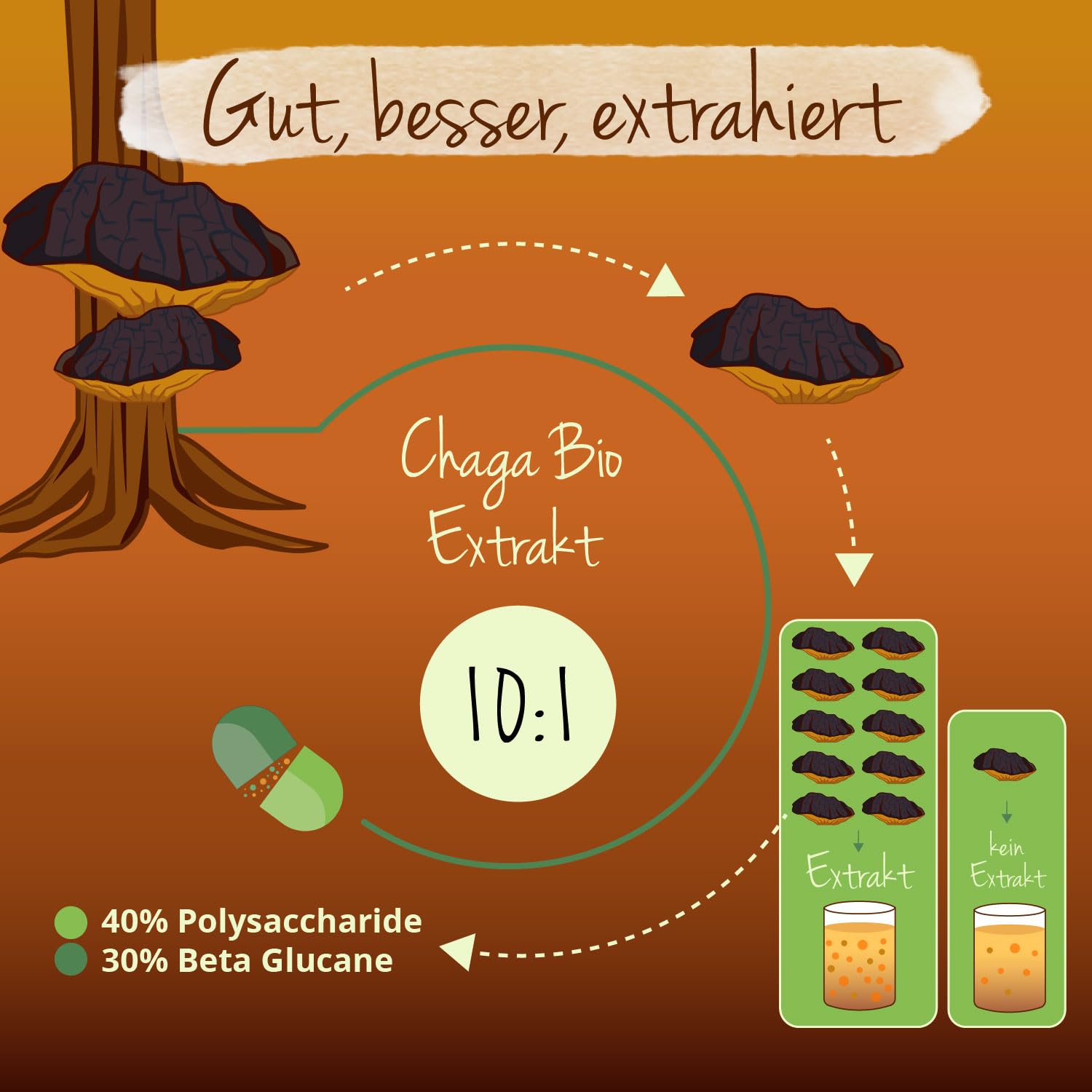 Bio Chaga Pilz Kapseln | Hochdosiert: 6.000 mg aus Extrakt (10:1) | 40% Polysaccharide - 30% Beta Glucane | Laborgeprüft | Vegan - Ohne Zusatzstoffe | Deutsche Produktion Vegavero®