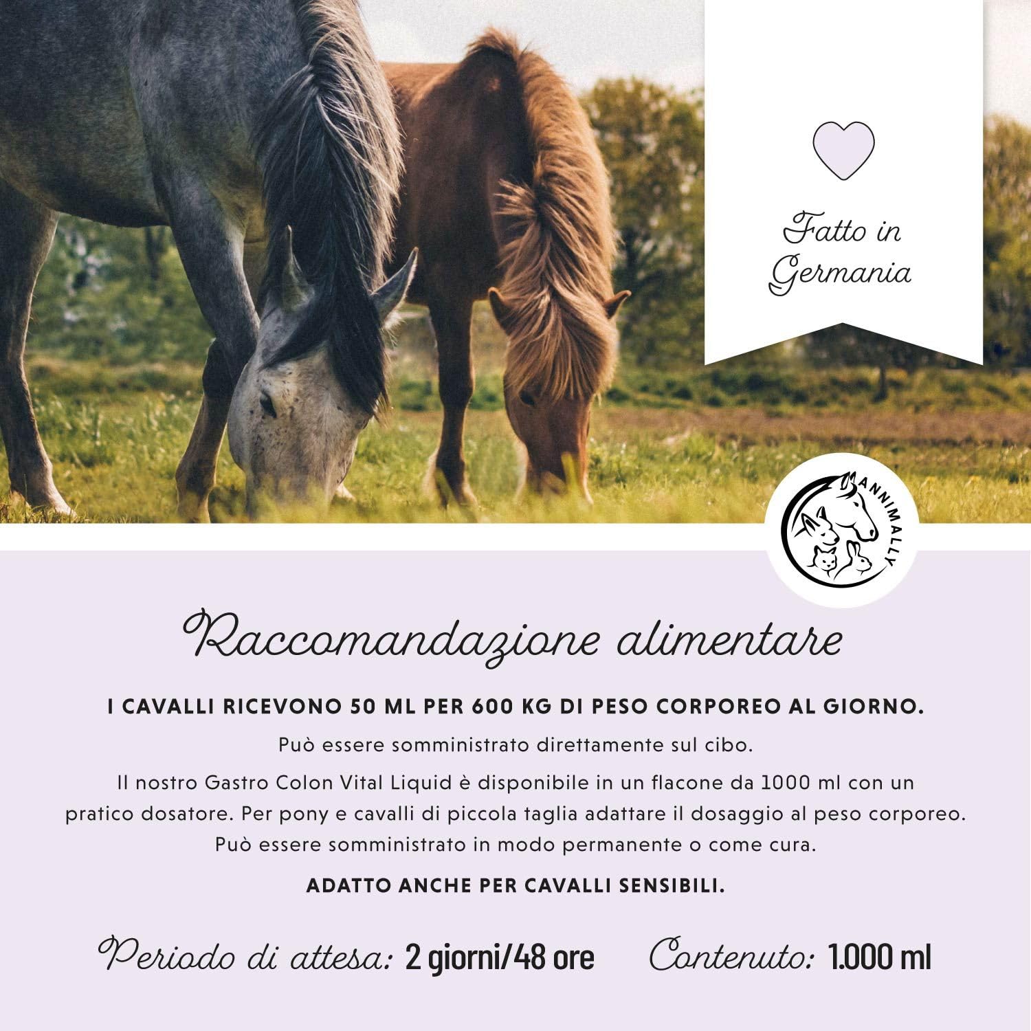 Liquido Gastro Intestinale per cavalli 1000 ml - Gastro Colon Vital per supportare la digestione, ad esempio in caso di diarrea - Erbe naturali per lo stomaco dei cavalli