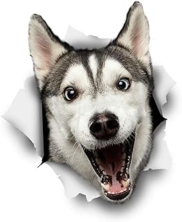 Winston & Bear 3D Dog Stickers - 2 Pack - Happy Husky for Wall, Fridge, Toilet and More - Retail Packaged Husky Wall Decals