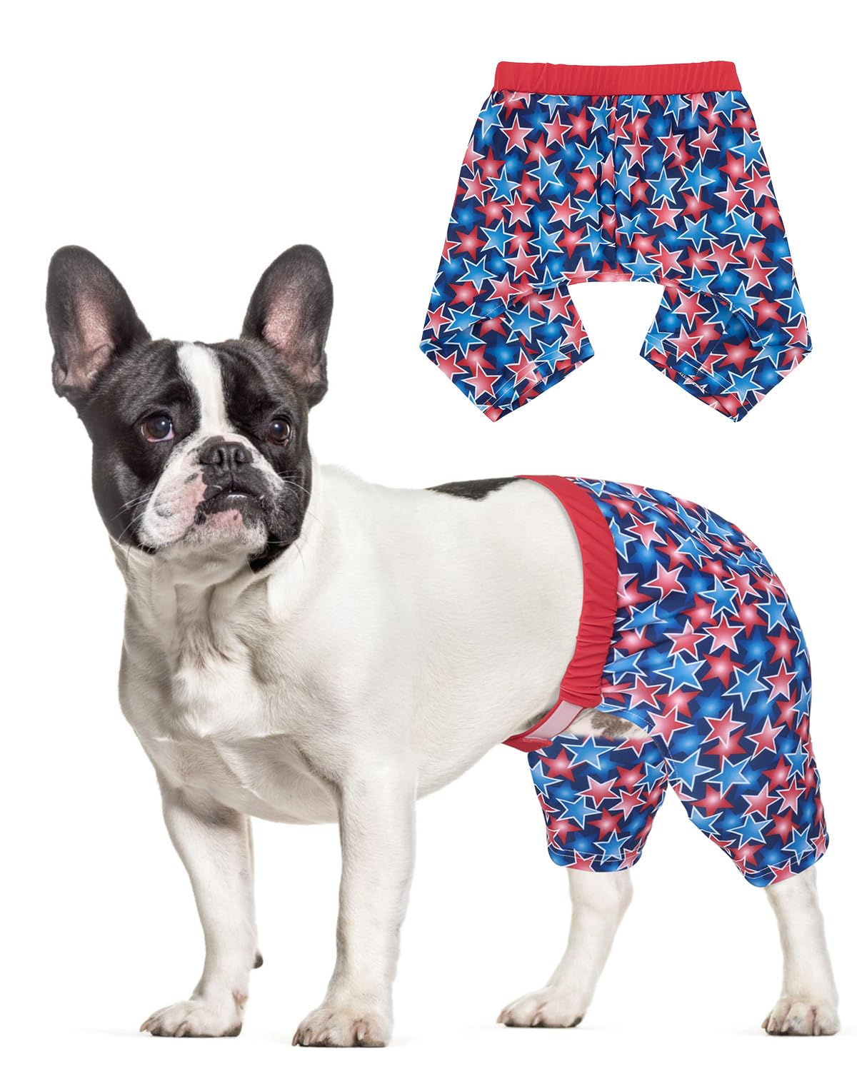 CuteBone Dog Swim Trunks Swimsuit Durable &amp; Comfortable - Quick-Dry, Adjustable Waistband Shorts, UV Protection Bikini- Perfect for Beach, Pool &amp; Outdoor Fun, Dinos DST12L