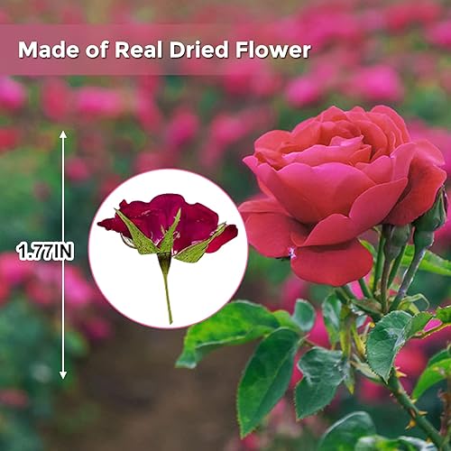 Miniatura 2 de Flores de rosas secas con tallo para resina, 42 rosas naturales prensadas reales, flores secas para resina, bricolaje, joyería, adorno,