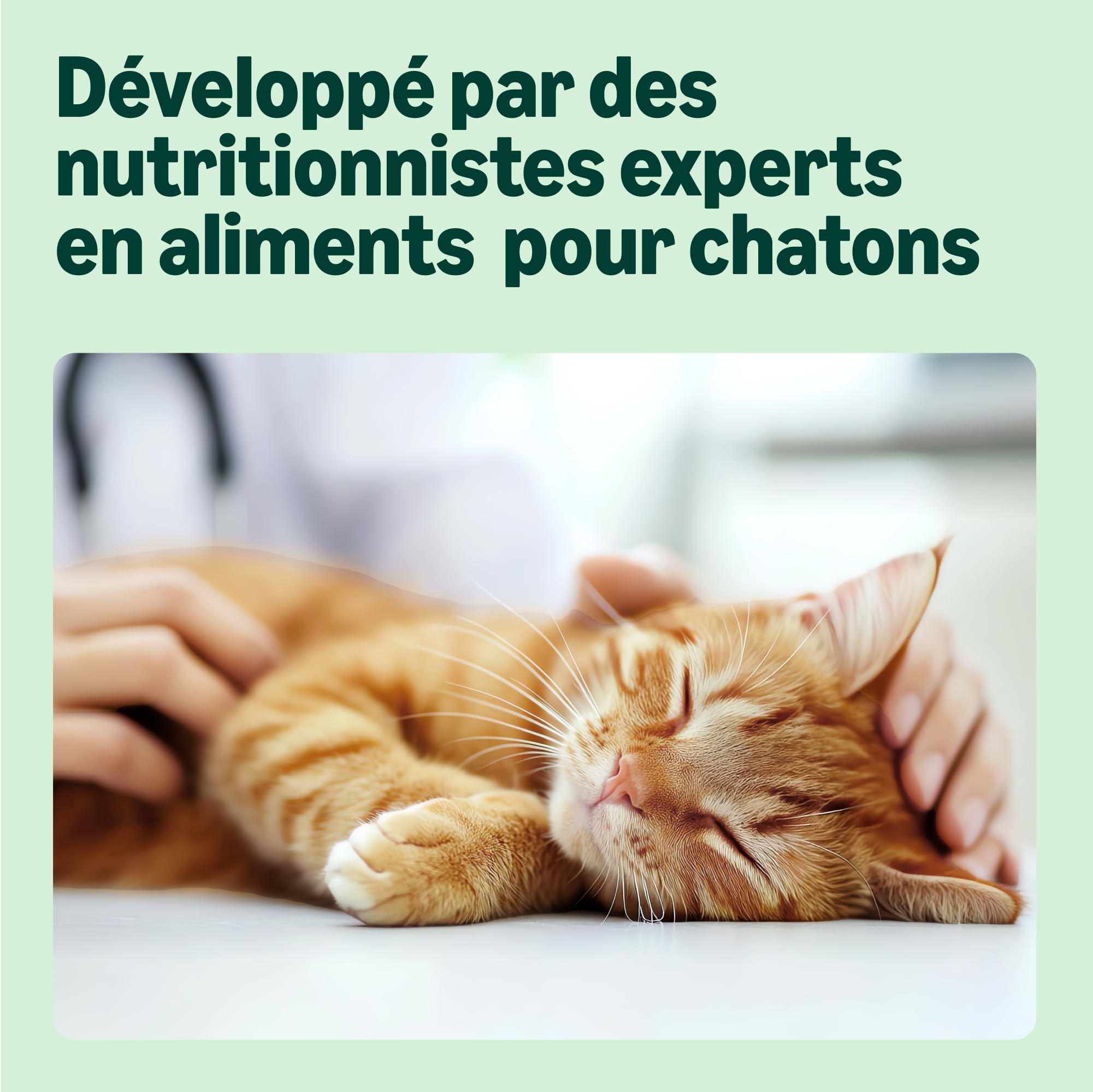 by Amazon Aliment complet pour chatons, Sélection mixte de produits en gelée, 1.2kg (12 sachets de 100g)