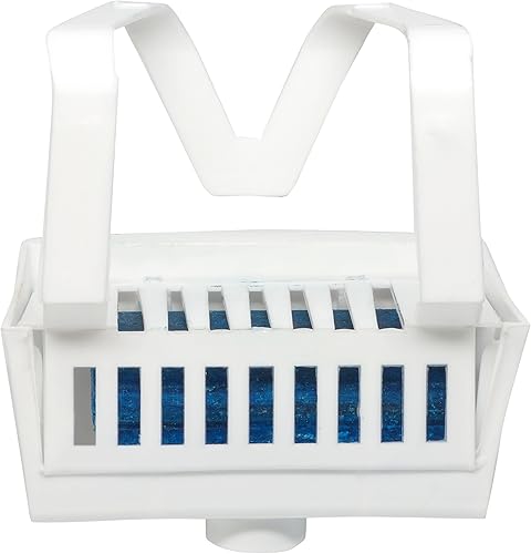 Big D Industries - Bloque de inodoro no apto para inodoro, dura 30 días, aroma de hoja perenne, blanco, 12caja