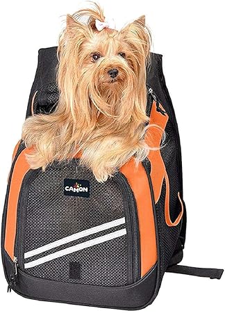 pet carrier medium size