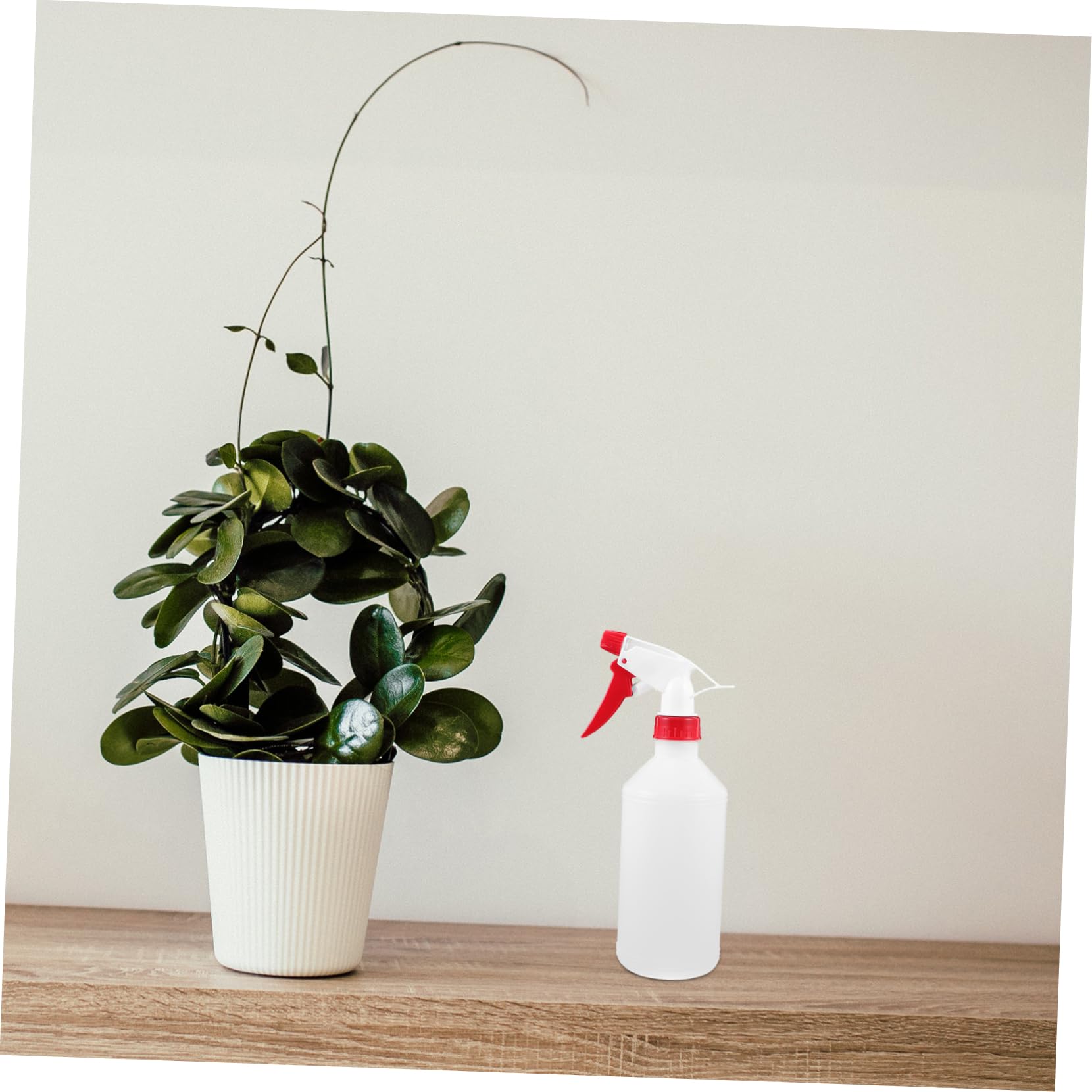 Toyvian Botellas de Spray de Plástico Blanco 500ml para Cabello y Plantas Diseño Hermético a Prueba de Fugas para Actividades al Aire Libre y Camping Pack de 6 Piezas Color Aleatorio