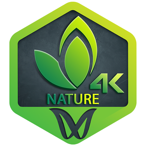 Best Nature Wallpapers - Free Wallpapers HD, 4K