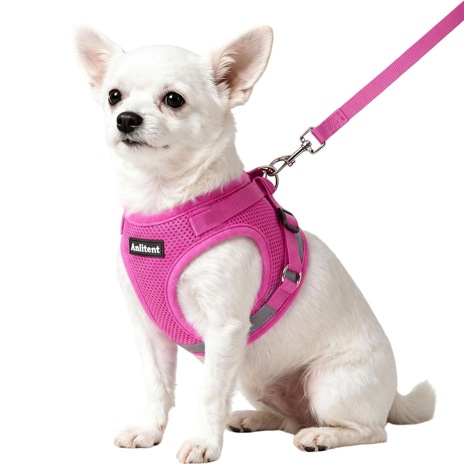 Anlitent No Pull Dog Harness and Lead Set for Small Dogs,XL -7.5-10kg,Pink