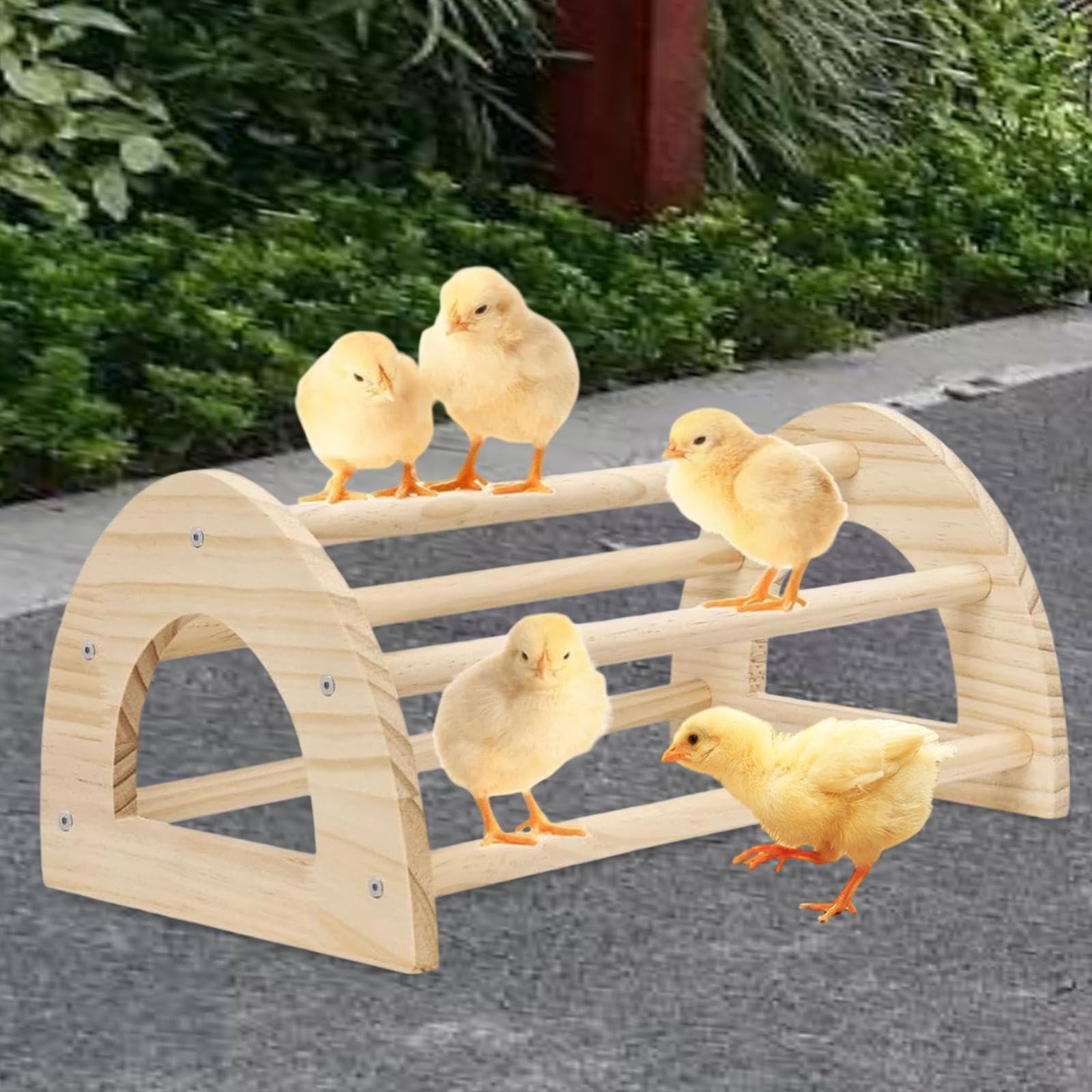 Milageto Hühnerstange, Hühnerholzständer, Spielständer, Trainingsständer, Zubehör, Kükensitzstange, Vogelstange aus für Papageien und Vögel