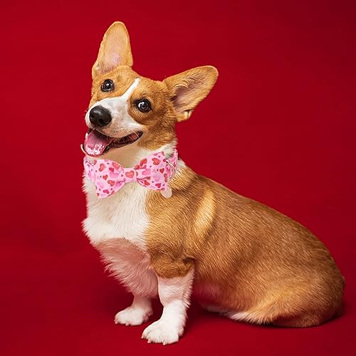 Miniatura 10 de DOGWONG Collar de perro con bandera estadounidense con pajarita, collar de algodón para perro del Día de la Independencia, collar de perro con