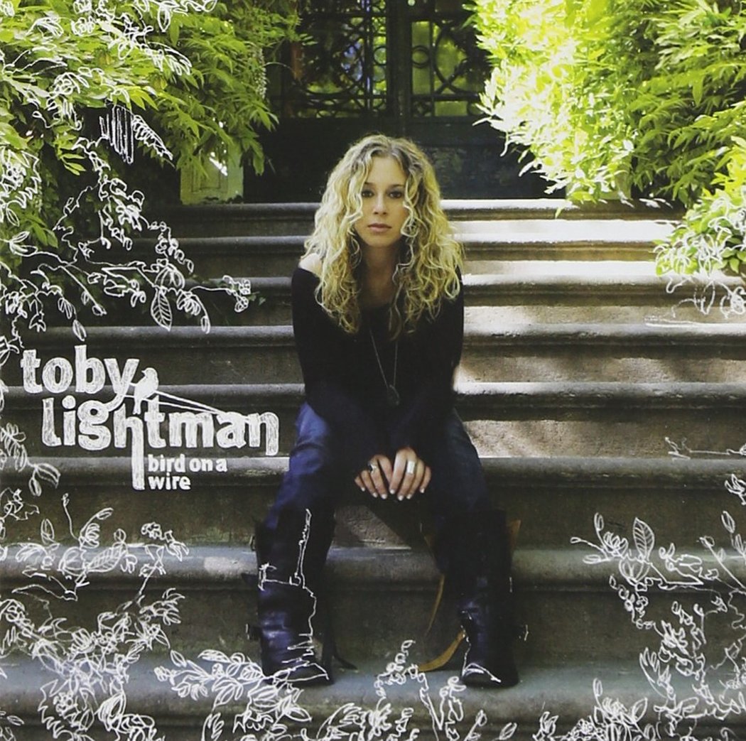 Bird On A Wire [Audio CD] Toby Lightman