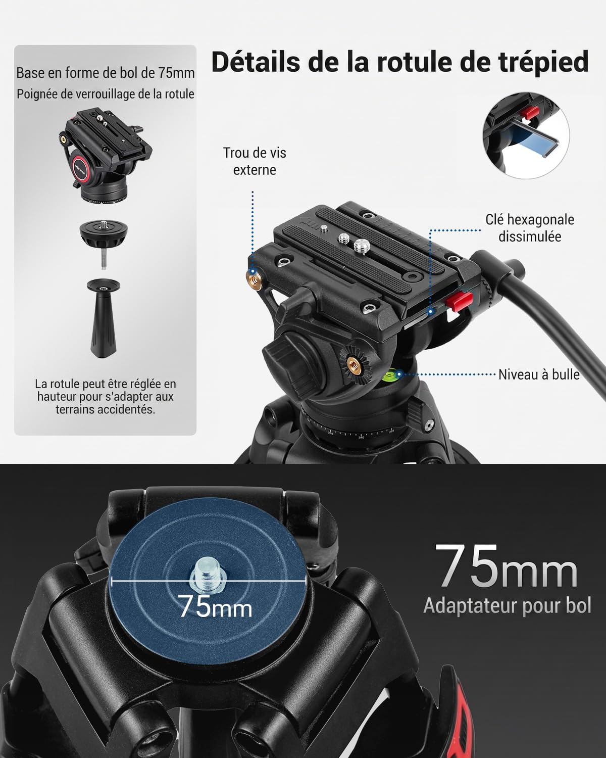 NEEWER Trépied Vidéo Pro 74 pouces avec Tête Fluide, Plaque QR Compatible avec DJI RS Gimbal, Trépied Robuste avec Poignée Télescopique Base d'Escalade pour DSLR, Max. 17,6 lb/8 kg, TP74