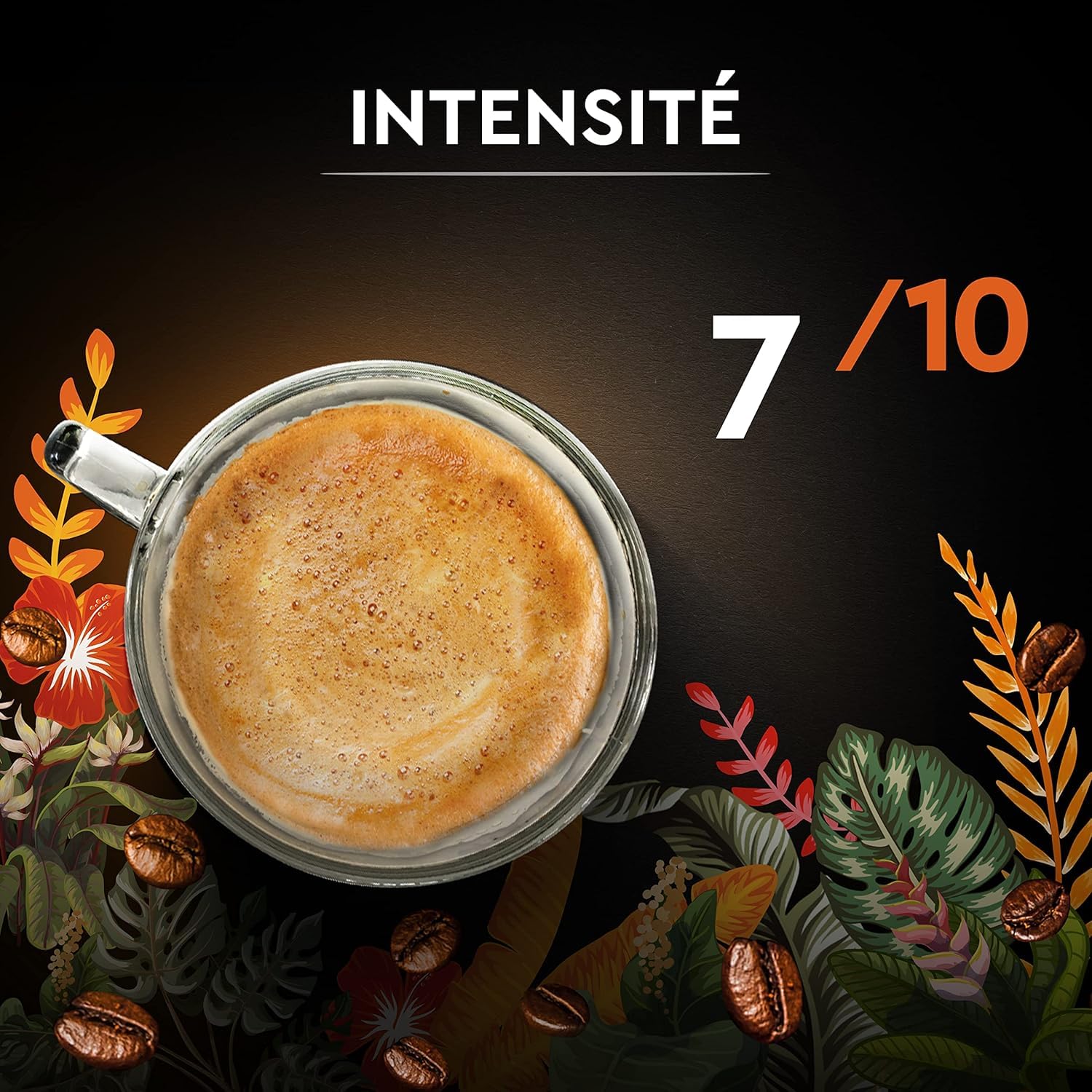 CARTE NOIRE - Café Grain Carte Noire Secrets de Nature - Catuai Romex - Certifié Rainforest Alliance - Paquet de 2 kg