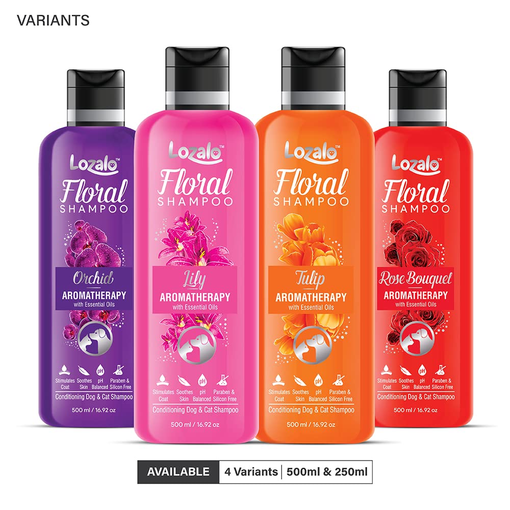 Lozalo Floral Aromatherapy Pet Conditioning Shampoo - 500 ml, Pack of 2x250 ml, Lily Fragrance, Coat Cleansing, Odour Control Shampoo for Dogs & Cats, with Aloe Vera Extract and Saffron Oil 3