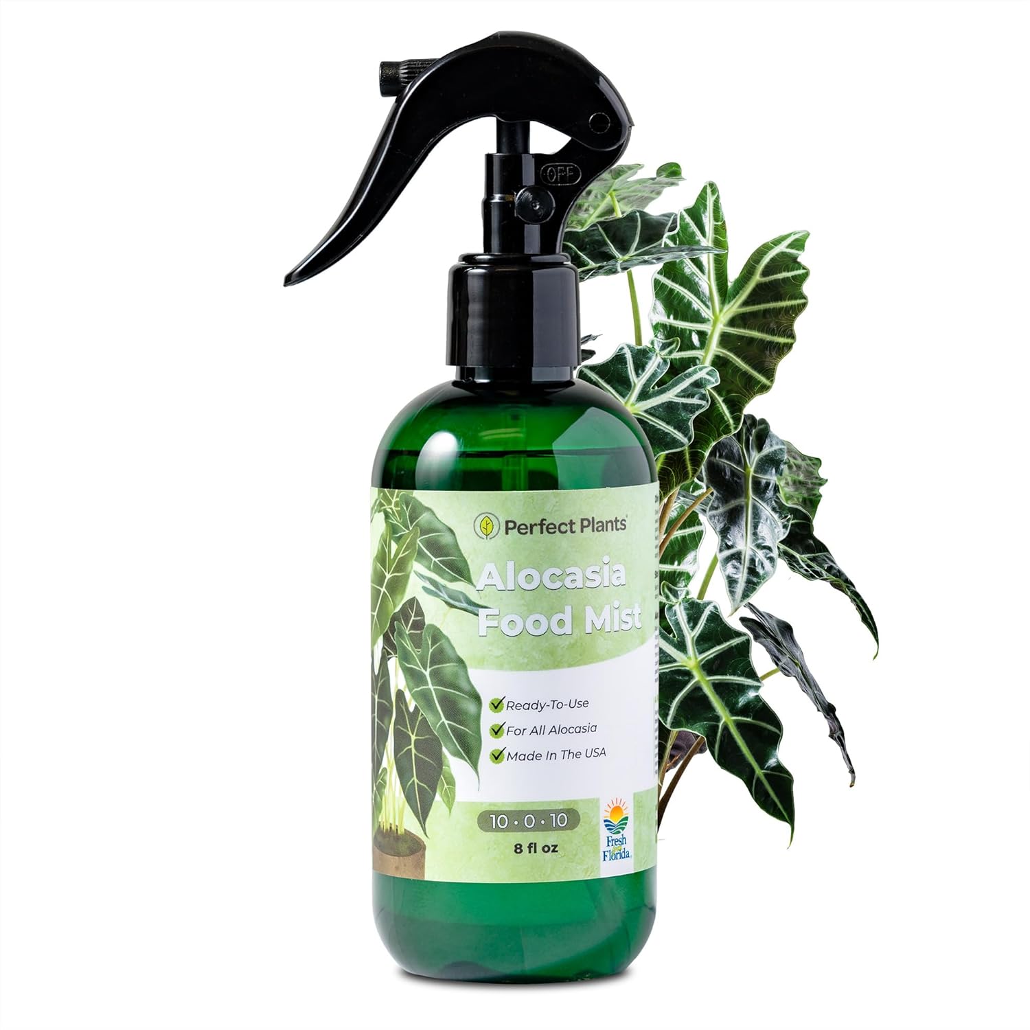 Amazon.com : Alocasia Food Mist by Perfect Plants | Spray Plant ...