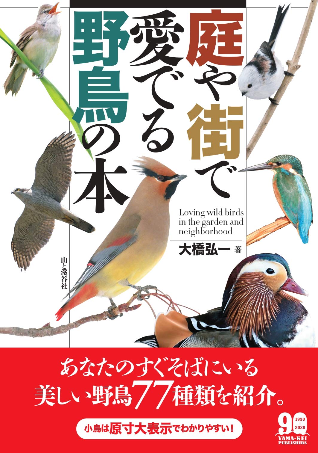 【中古】 鳥のくる庭/講談社/原田康子 中古】 鳥のくる庭/講談社/原田康子 中古】 鳥のくる庭/講談社