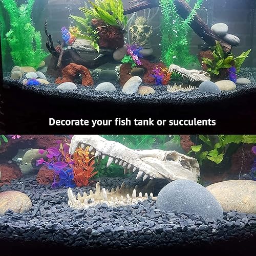 Vista 23 de Avalution Planta de piedra de arena gruesa de 0.079 a 0.176 pulgadas, grava decorativa, grava de cactus bonsái, relleno de terrario, decoración