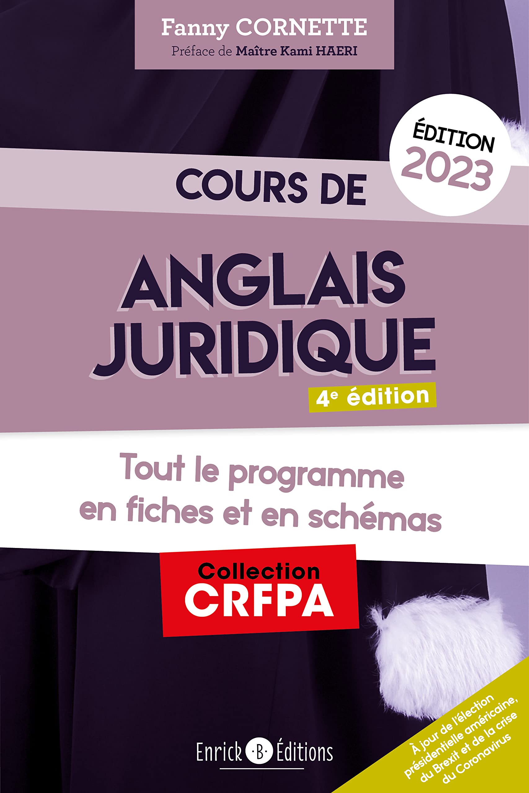 Cours d'anglais juridique 2023: Tout le programme en fiches et en schémas