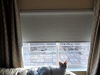 Review Image by CCW CCW