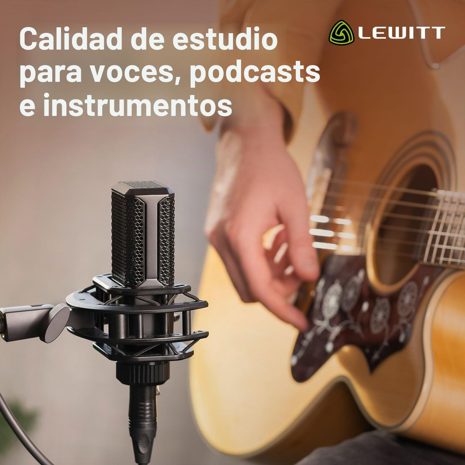 LEWITT Micrófono de condensador LCT 440 PURE XLR para voz, canto, grabación de instrumentos y transmisión