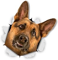 Vista 1 de Winston & Bear Calcomanías 3D para perros, paquete de 2, curioso pastor alemán para pared, nevera, inodoro y más, calcomanías de perro pastor alemán