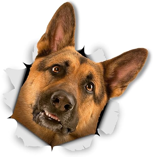 Winston & Bear Calcomanías 3D para perros, paquete de 2, curioso pastor alemán para pared, nevera, inodoro y más, calcomanías de perro pastor alemán