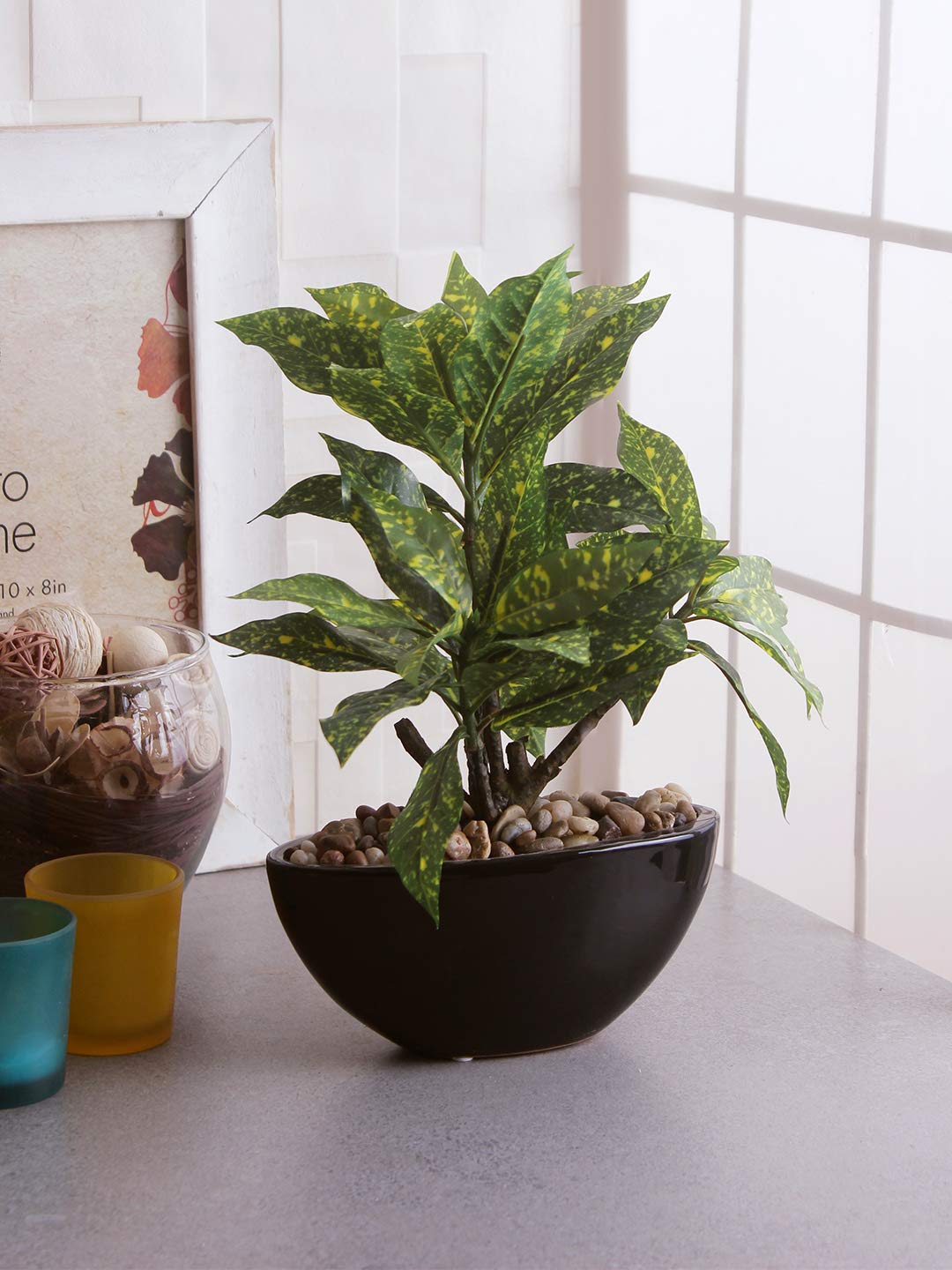 Fourwalls Artificial Croton Bonsai Plant in a Ceramic Vase for Home and Office Decor (45 Leaves, 29 cm Tall, Dark Green)-image-28