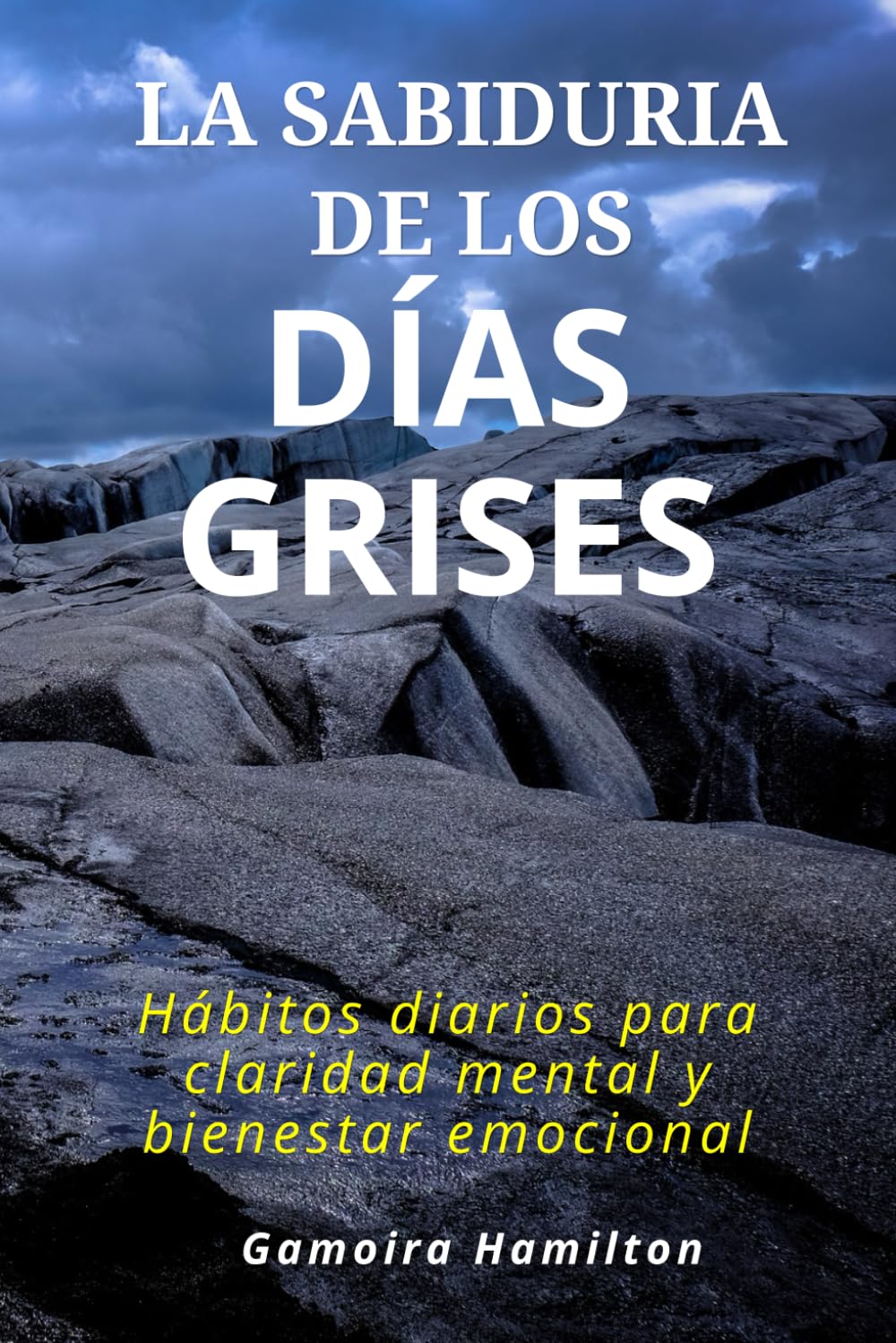 La sabiduría de los días grises: Hábitos diarios para claridad mental y bienestar emocional